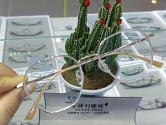 -罗伯特眼镜·蔡司官方授权(罗湖国贸店)