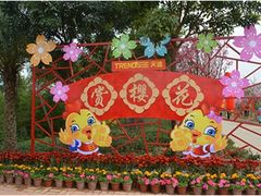-天适樱花悠乐园