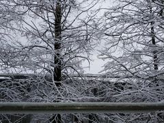 -中国人民解放军联勤保障部队第九〇三医院(九里松院区)