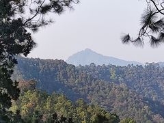 -滴水岩森林公园