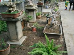 -石家庄市植物园