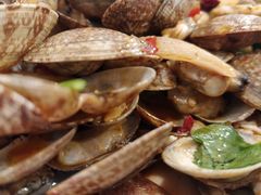 花蛤-四海鲜渔家菜(黄金海岸店)