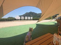 -沂蒙山旅游区云蒙景区(蒙山国家森林公园)