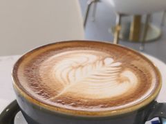 -飞行喵MR PILOT|猫舍·猫咖(静安大融城店)
