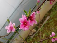 -普迪生态园