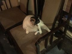 -江湖边·小生活