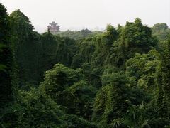 -吴山景区