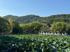 -普陀山风景名胜区-法雨禅寺