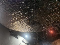 -道乐烧肉酒馆
