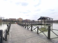 -溱湖国家湿地公园