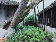 -乌镇东栅景区