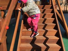 -蓝莓果幼儿园(通州梨园店)