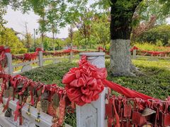 -东台西溪天仙缘景区