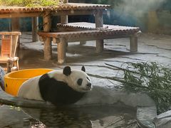 -苏州太湖国家湿地公园