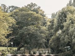-黄龙溪古镇