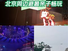 -中国马镇舞马世界主题乐园