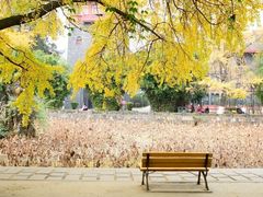 -四川大学(华西校区)