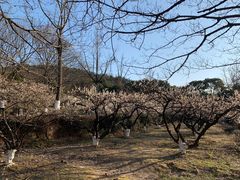 -白马涧龙池景区