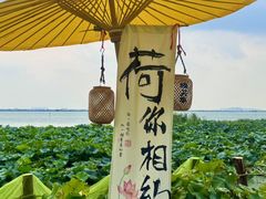 -七的湖·晚芳亭·阳澄湖农家菜·大闸蟹(莲花岛店)