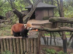 -云南野生动物园