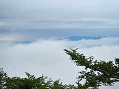 -富士山吉田線五合目