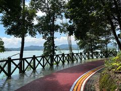 -广州市流溪河国家森林公园