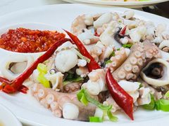 -小海丁