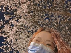 -西北湖绿化广场
