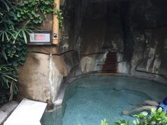 -天赐温泉