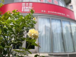 -酉嘉瑜伽YO+YOGA