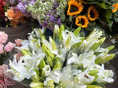 -循礼门鲜花花市(武汉循礼门店)