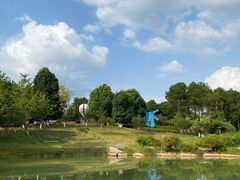 -铁山坪森林公园