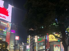 -涩谷全向十字路口