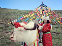 -青海湖国家重点风景名胜区