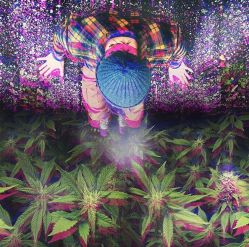 -飛凡TATTOO纹身•原创