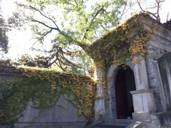-北京鹫峰国家森林公园