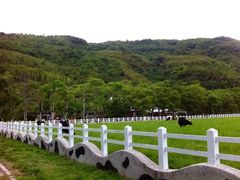-瑞穗牧场
