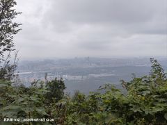 -紫金山山顶公园