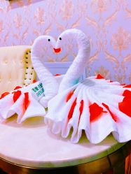 -圣婕美甲美睫皮肤管理