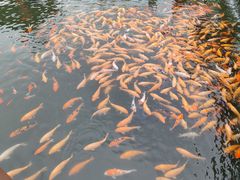 -长春市南湖公园