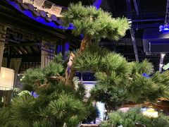 -绿茶餐厅(千岛湖银泰城店)