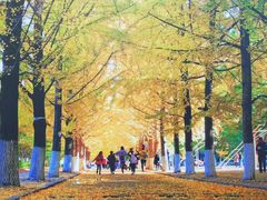 -辽东学院(南校区)