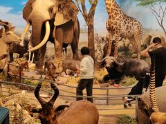 -陕西自然博物馆