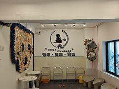 -有喵·猫咖·狗咖·30几只猫10只小狗(岗厦店)