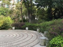 景点-九龙公园