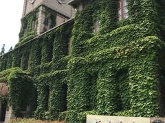 -半岛1919创意园区