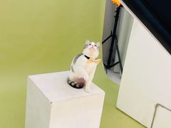 -海马体照相馆(重庆爱琴海购物公园店)