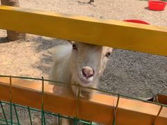 -龙谷湾旅游休闲度假区