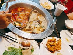 -渝味晓宇火锅(合川路店)