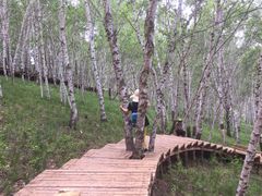 -塞罕坝国家级自然保护区